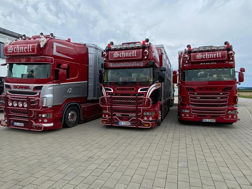 Viehtransport-LKW mit Anhänger